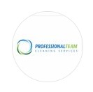 Professional Team Cleaning Services
